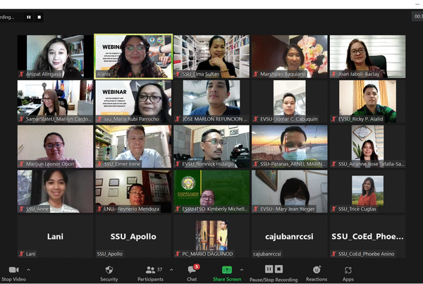 SSU social sciences, languages faculty join webinar on thematic analysis