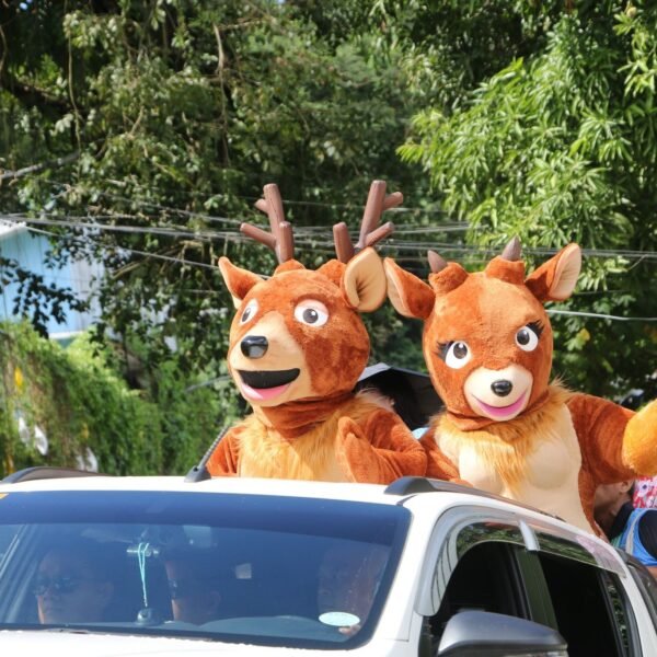 “Bugsok” unveiled as SSU’s official mascot