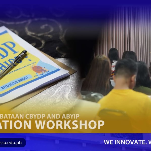 SSU takes part in Catbalogan SK’s CBYDP, ABYIP formulation workshop