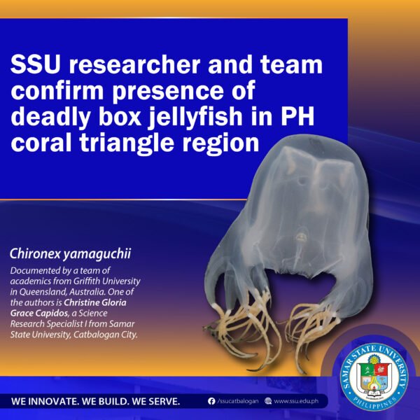 SSU researcher and team confirm presence of deadly box jellyfish in PH coral triangle region